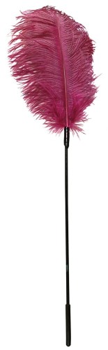 31ea1c72f41f7c95c7a8dc201e01af4c