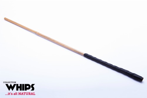 92962fd5416346e475a4ca153f7bf31f