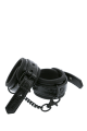 147fa749aa2c54418ccc2abeef9e5e3b