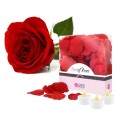 fc290b6282cd091df9f73a0bf1f1e1ab