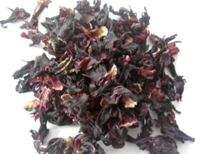 Hibiskus