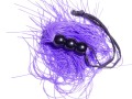 15ab1a43c312d3c83de032fda8aa72eb
