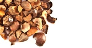 Guarana