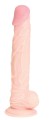 b969eef4a0161ebc96a89b46e1efeea5